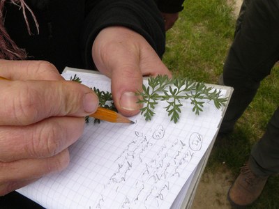 DVPP Botanický víkend | Botany weekend for teachers